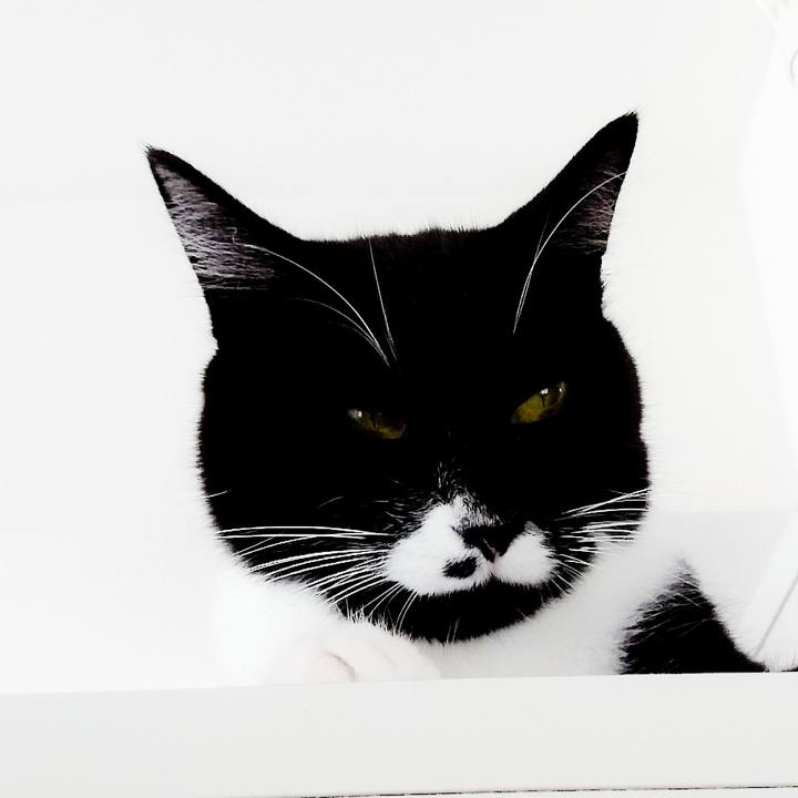 5a5c06aa e0dc 4b92 b32e 66af0a1e92c7