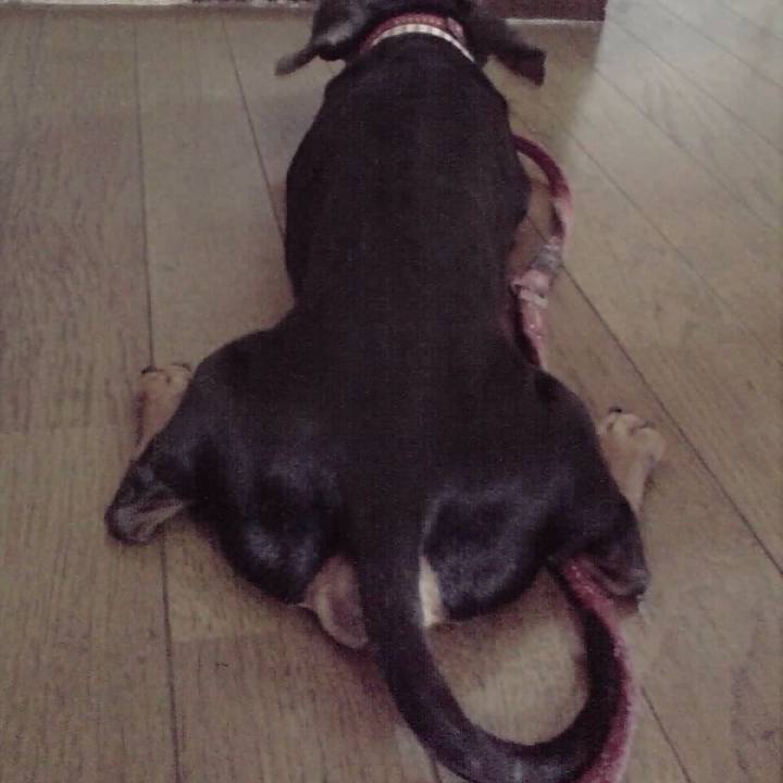 5a5cba48 9f0c 4257 ad65 e9dec9ed9ab7