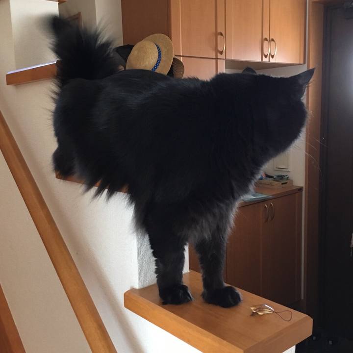 5a5cf636 08c8 4d6a bc73 7dcb92e3bce8