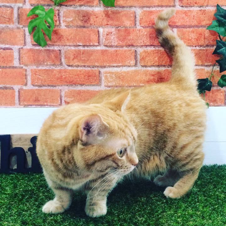 5a5d854c 1cfa 4631 94f3 2a2ba8dcefef