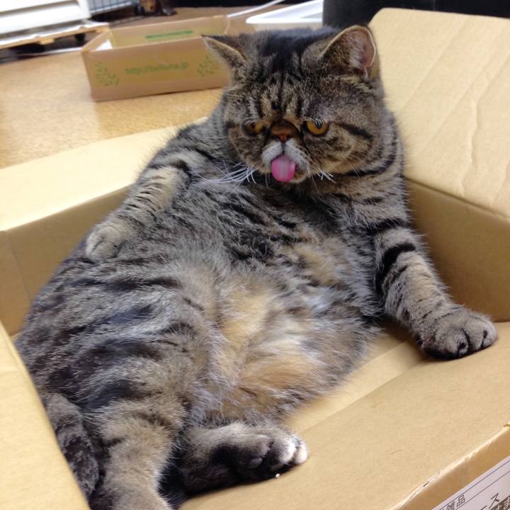 5a5dc542 de65 4c38 a74e 25d0c3aebbeb