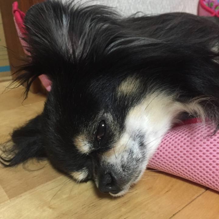 5a5e1522 aa5e 47e6 a28c 191a669e3fe0