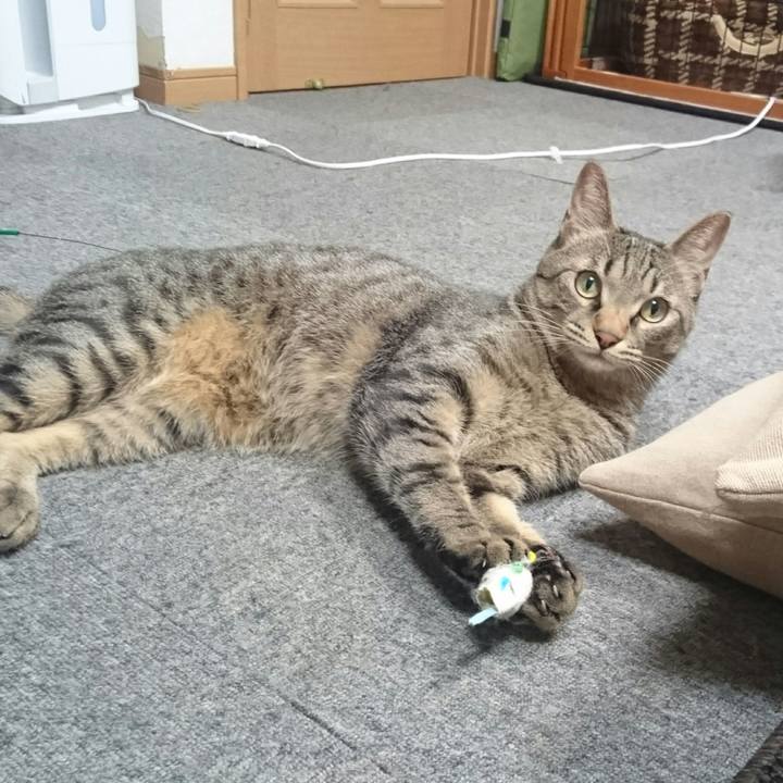 5a5e393c 9dd0 47f7 9b73 6d44b49d79ee