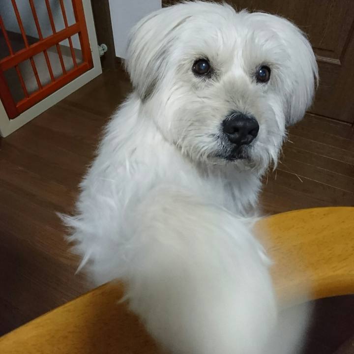 5a5e9592 86b3 4d11 b48c c0e054c19601