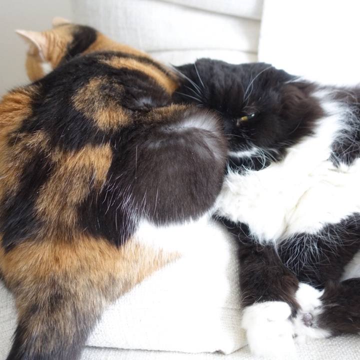 5a5e9b8c 8204 46de 892a 675d8f3d4e42