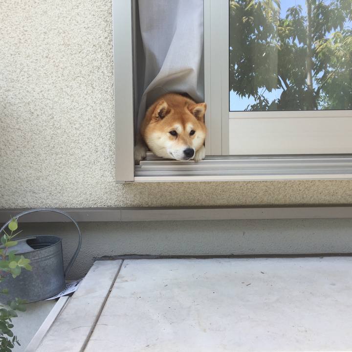 5a5ee596 4bc3 421c b54a 4d33c655b3b5