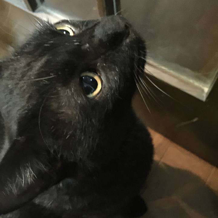 5a5f058b e089 4214 bfd8 fa7e3d3c9c57