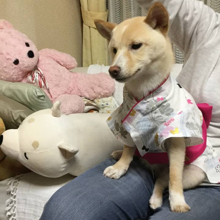 5a5f2de2 c7d0 45ce a99f c35007c38c27