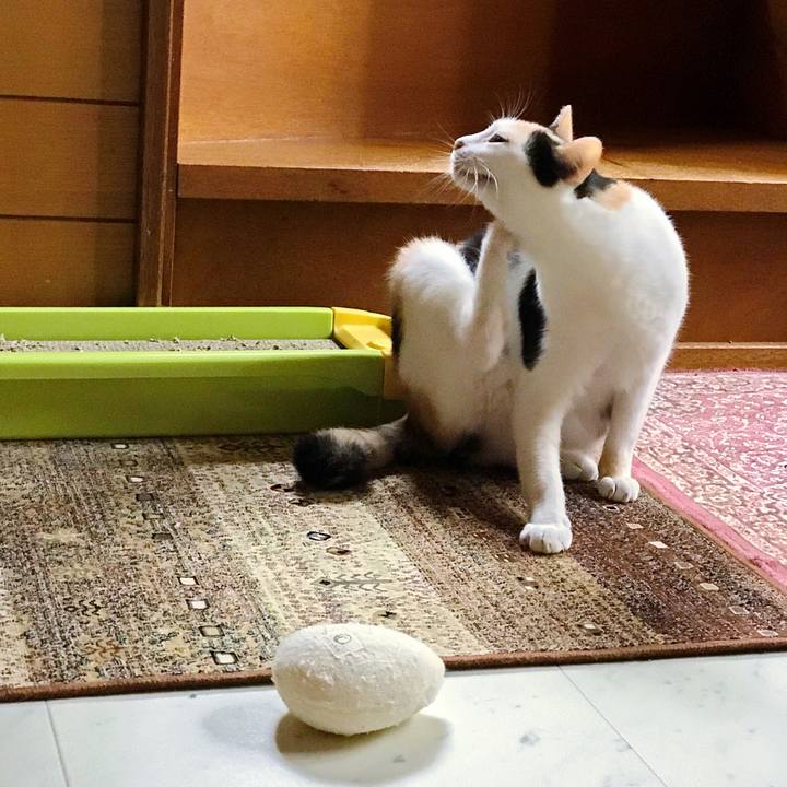 5a609abd fb0d 443c 9fb3 784c84e1a90c