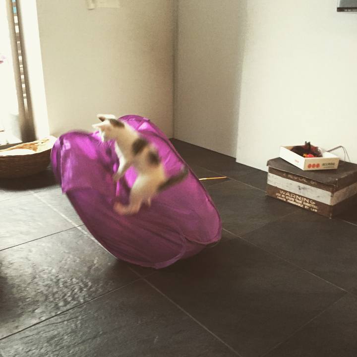 5a609b6c 91d6 4824 968f 36a7f8e3d855