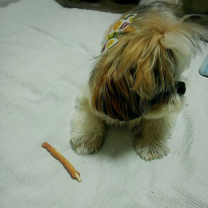 5a61072b e042 4579 b134 3ce692e1fa32