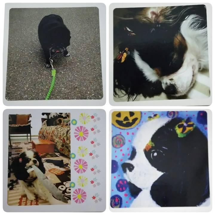 5a61ab54 e780 450b 9c09 2b91d93e292e