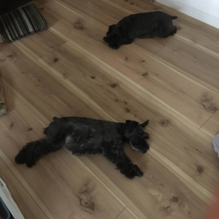 5a61b0ad 5ac9 4861 b04d 24b0e1017aa7