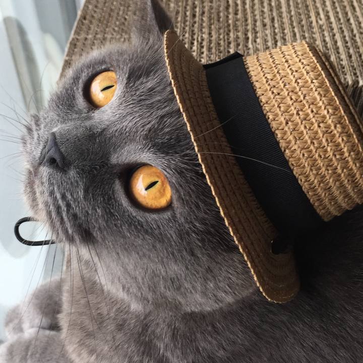 5a622ad9 39b3 47eb bf26 cbcddf3d1cea