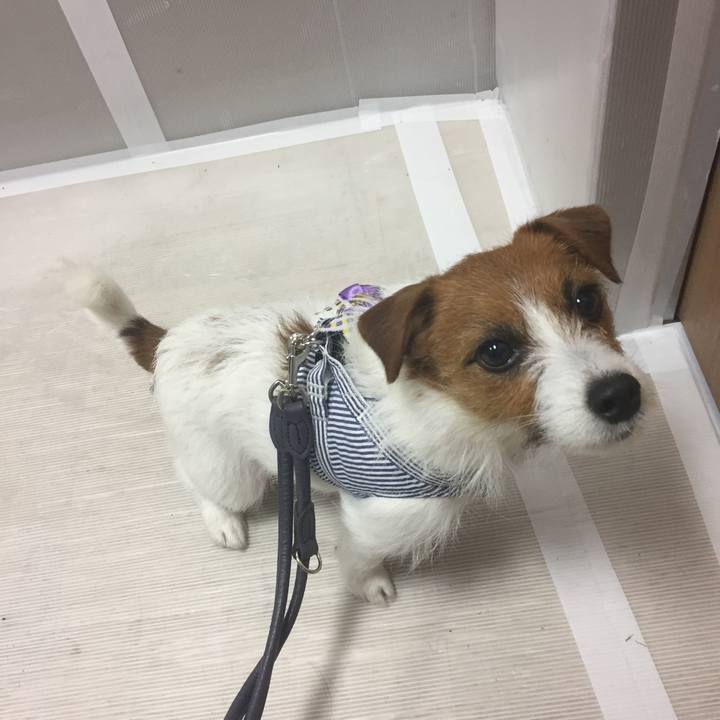 5a62fc3a 6959 4d16 b83b 990df941b4e9