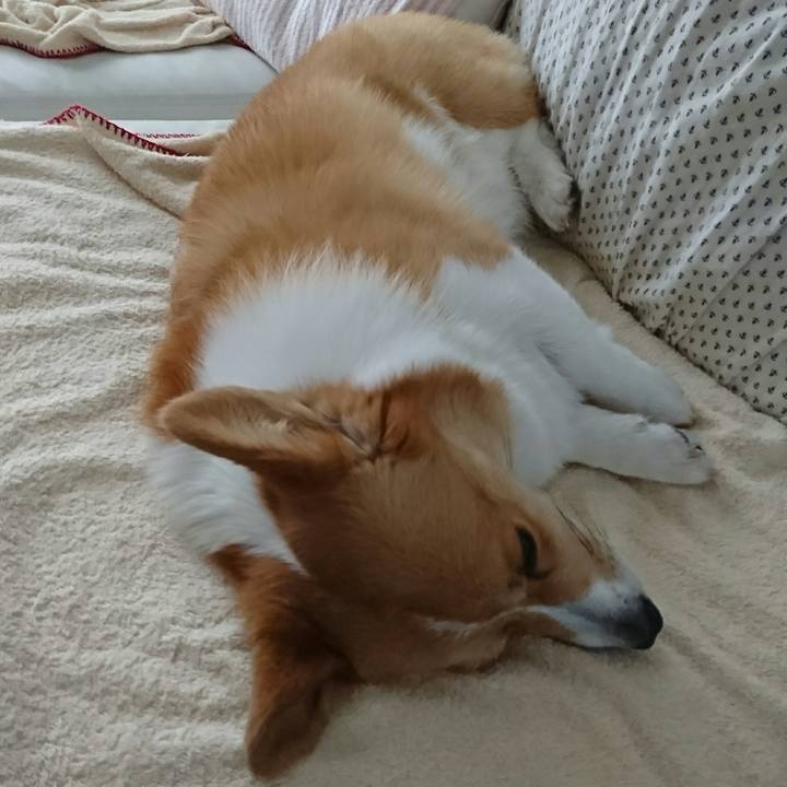 5a643b89 9d3c 4364 9be8 bc1592820356