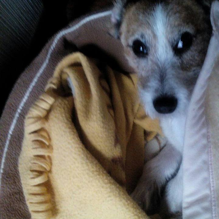 5a6494f9 92cf 48d2 b7f2 0d4bc6e85d91