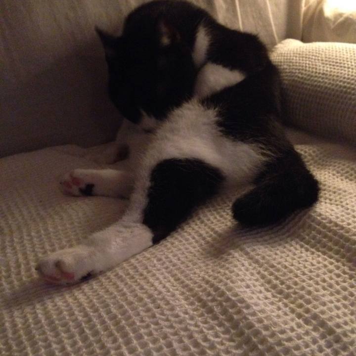 5a64d64f 1250 473d 8935 e0e013e13bbb