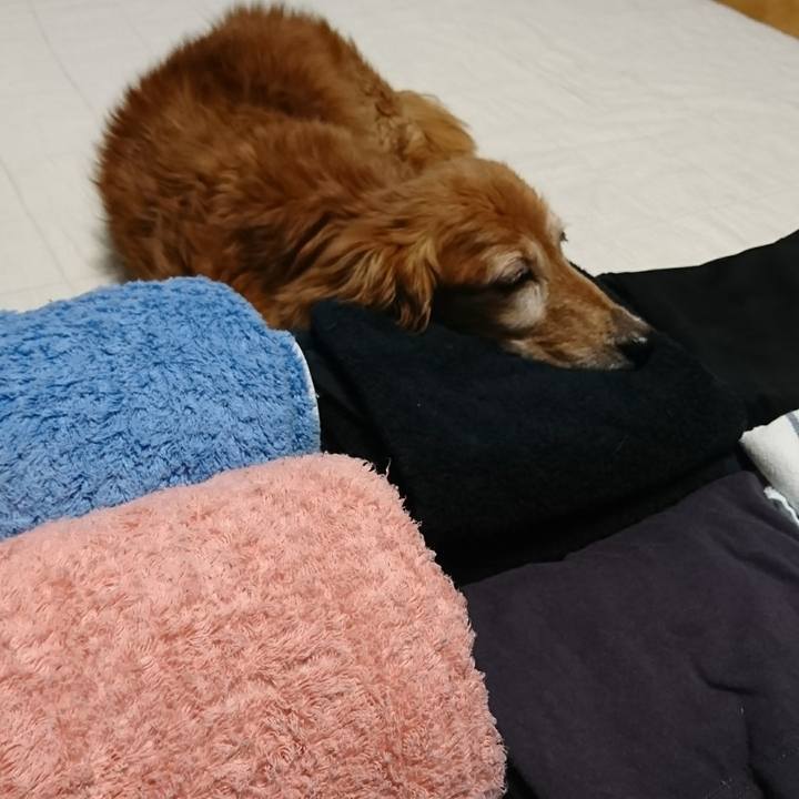 5a64d8c0 8482 4b12 8108 43da245a7fec