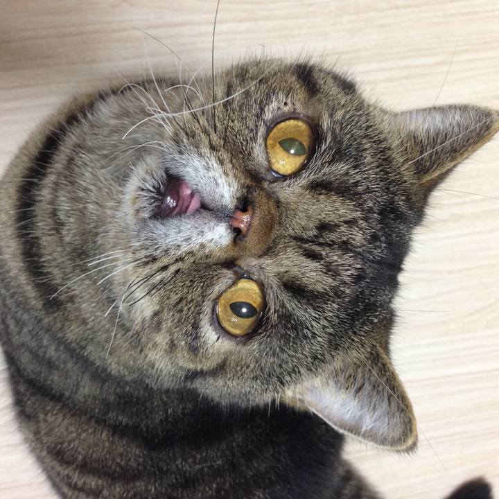 5a64e46c c0d8 49cf be5d 5dbc5e93930a