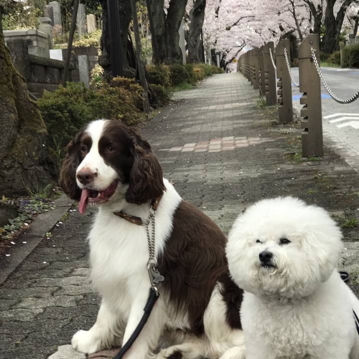 5a65cd36 e152 486e 9174 fd6894667949