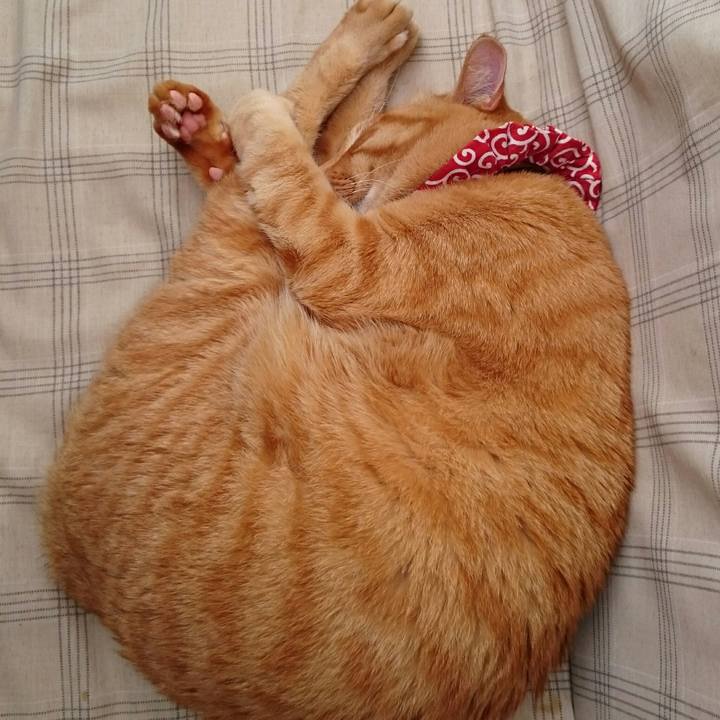 5a66948c 819b 47f8 8e01 dd08ed248b8e