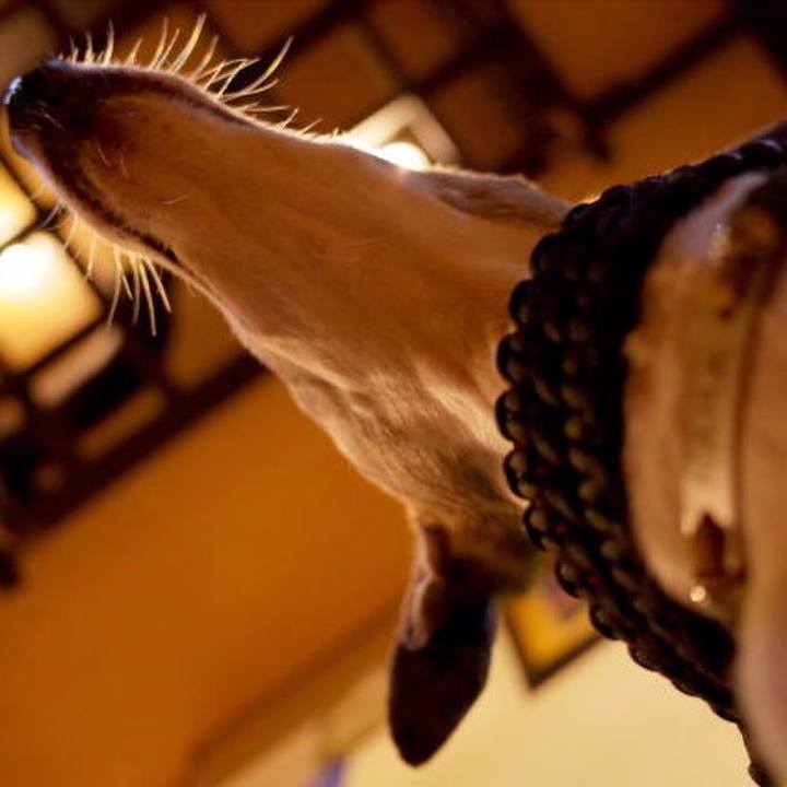 5a674869 b386 497c b3c6 22171f52951e