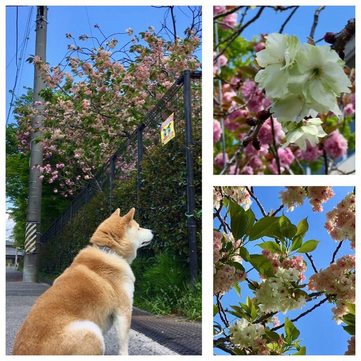 5a67a79e 748b 41bd a8f7 8a760c3d3a32