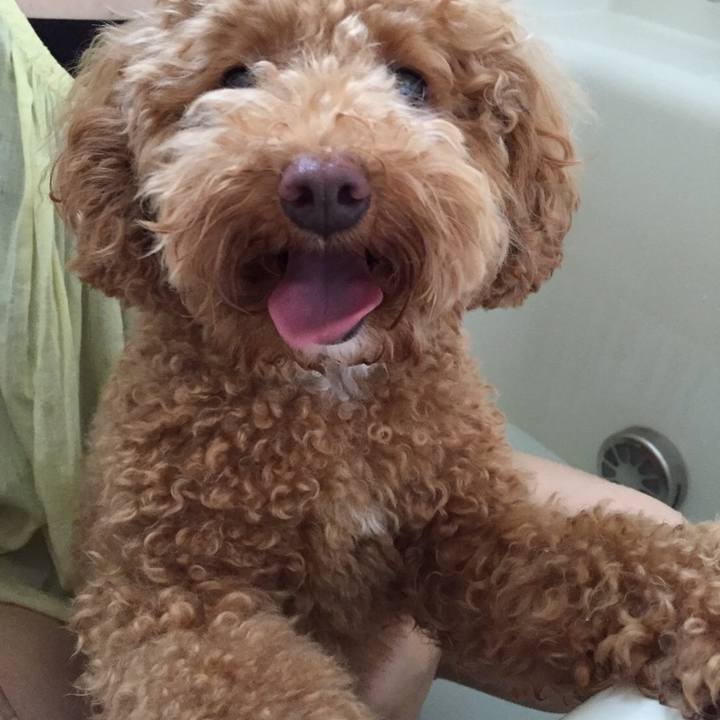 5a67b32a 99ba 4b51 b6da f61c4ab64eca