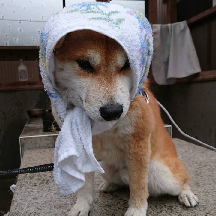 5a6809ff a4a7 4cd5 afdc 586432fe83fe