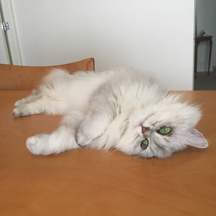 5a685e34 d364 49db 8075 2f55a609d124