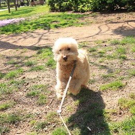 5a6a754f fa8d 4a91 b3cc da48e8f1a919