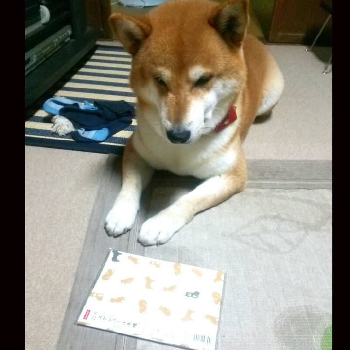 5a6aa46c 42b3 4b02 85a9 b7827d178dee