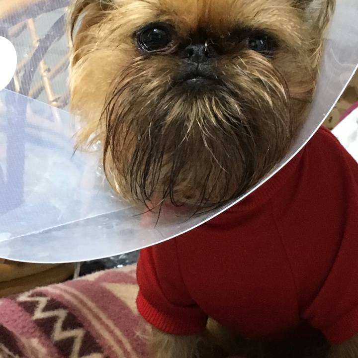 5a6b95d9 79da 49ba a651 eadb21ad2608