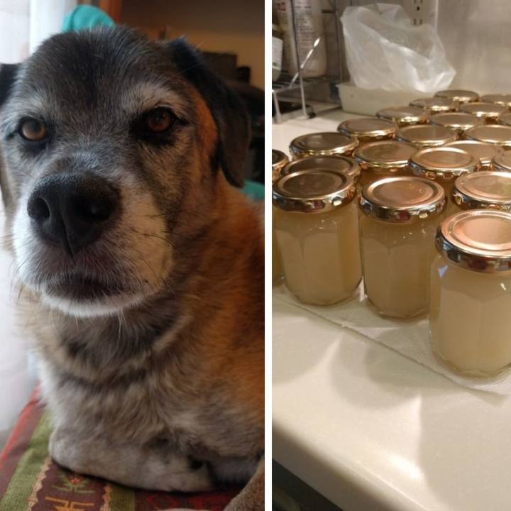 5a6bb4f0 05b5 4e93 b43b 419c8644ac84