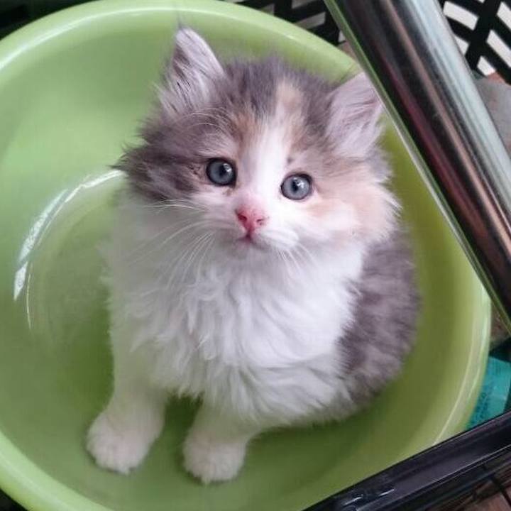 5a6bf029 174f 446e bbb6 9028e01f9f7b