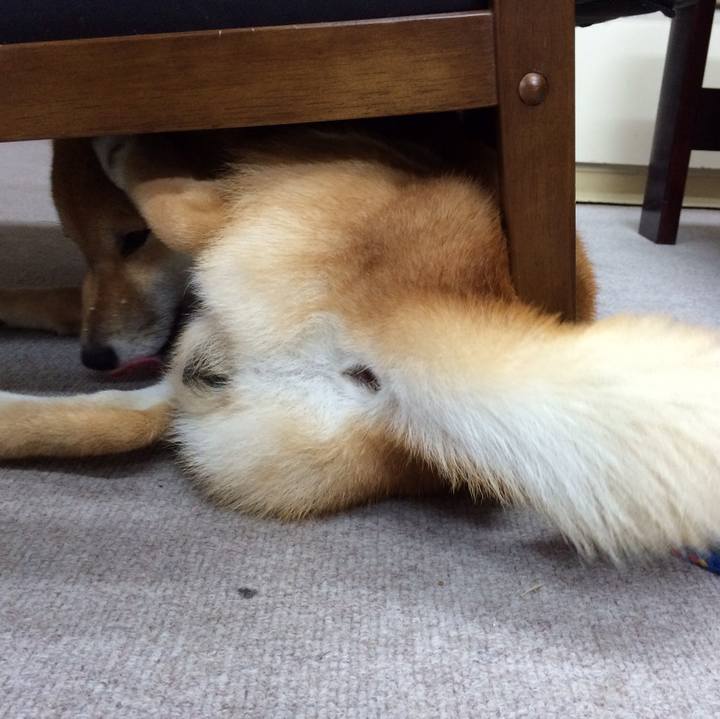 5a6c4201 cbea 4015 bad5 39f387114a24