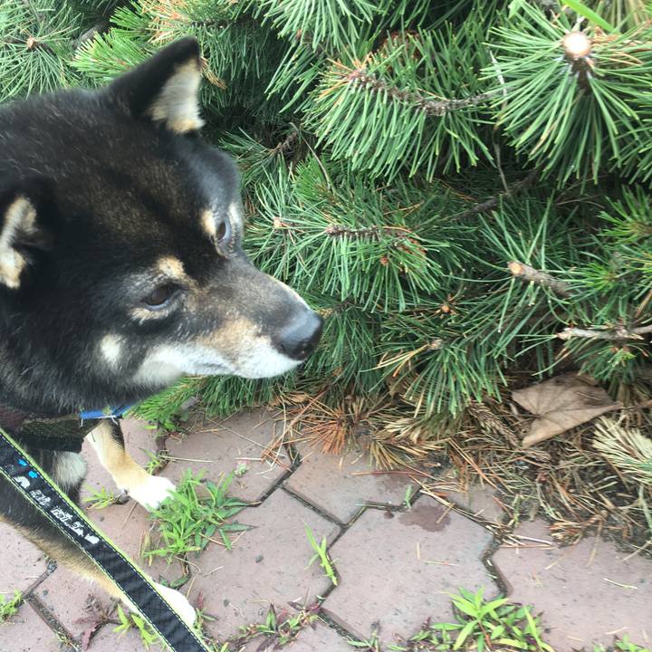 5a6cac77 86b9 48b7 97ab 5d450001256b