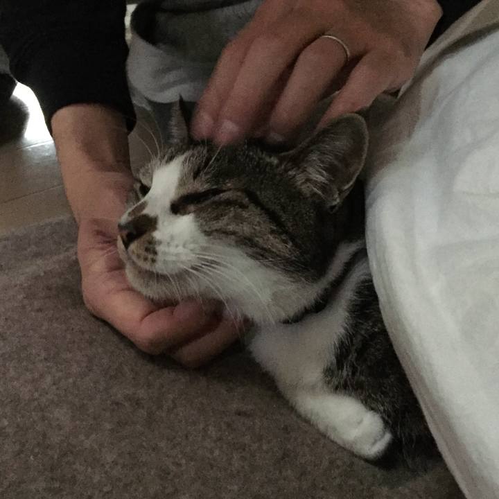 5a6eb3a6 b50b 4299 ba45 86d6b5ca98b1