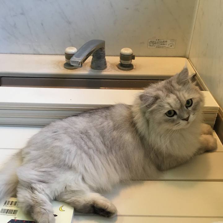 5a6f3718 5839 492d b07f 7561538ec0c8