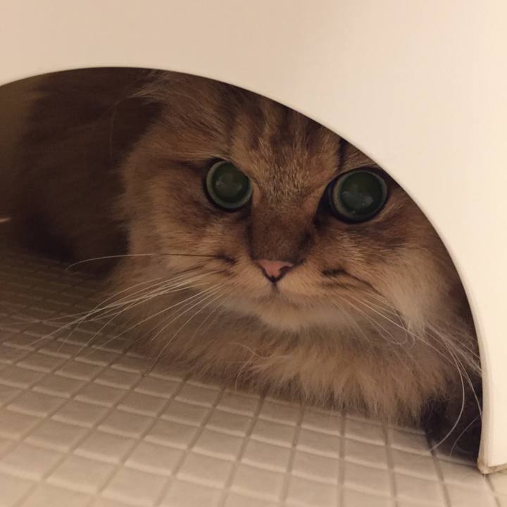 5a6f7f1b 2792 46a4 9856 df1ad5562ece