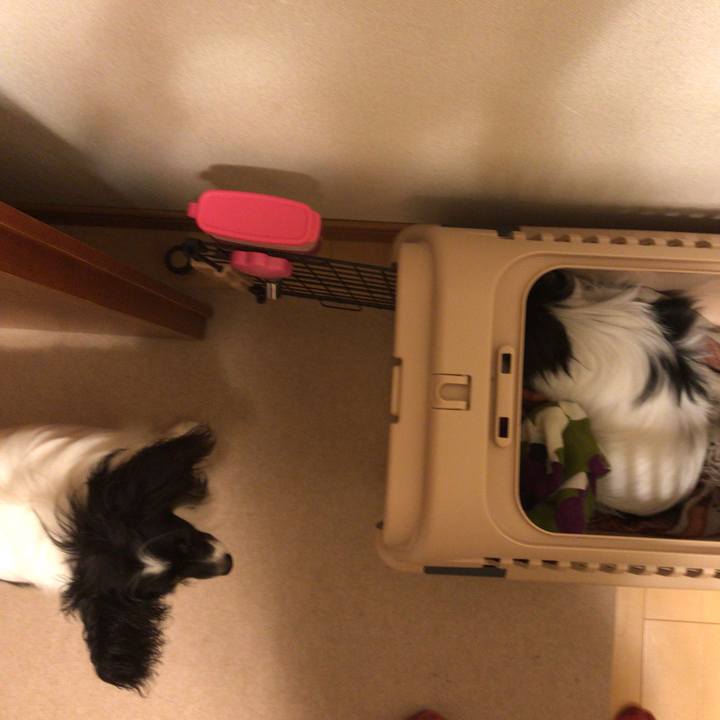 5a70a109 13e8 4139 a9f2 f1849082aa65