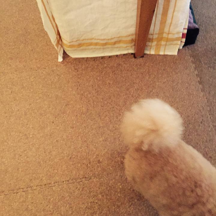 5a70b92c 8141 4c39 97c3 a3da591870bf