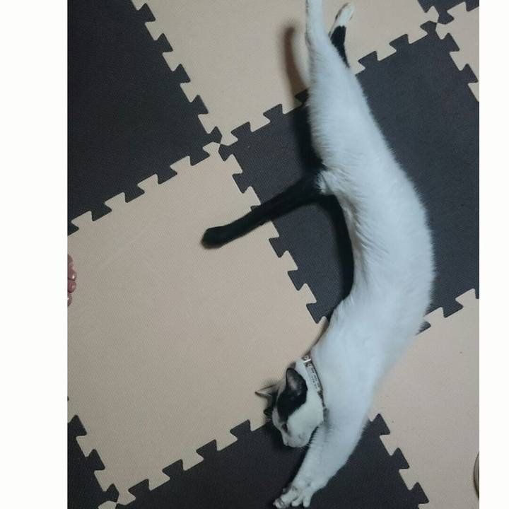 5a70d7ee 5357 417c 99f9 1d68109088b1