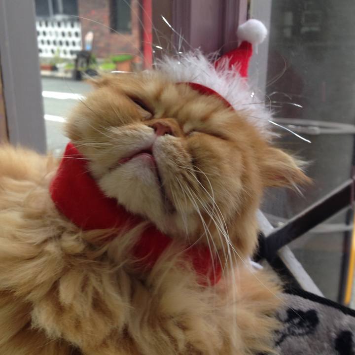 5a70e450 d74b 42f1 94a6 703ae5853263