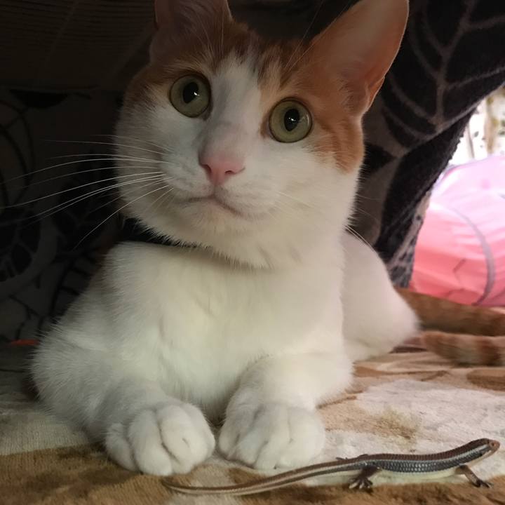 5a7112a4 8acb 468e 8f1a 2b7893cf1a62