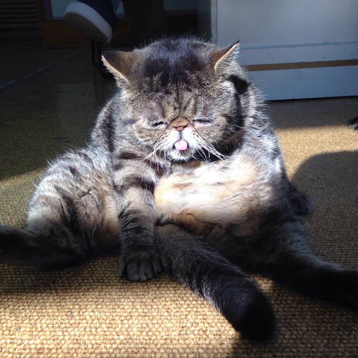 5a716ce5 c740 4161 a818 ed726dd2e480