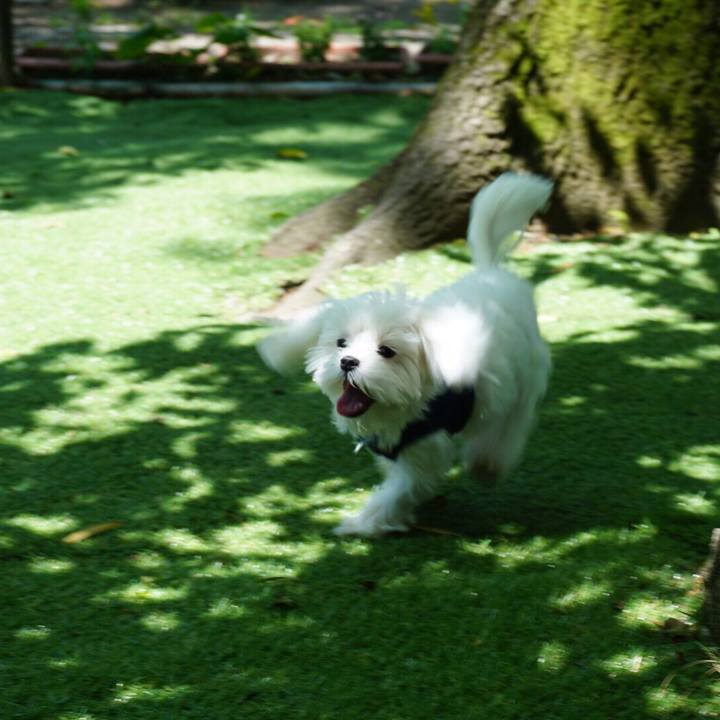 5a71881d 6d33 43d8 97e7 e91fcc411d3f