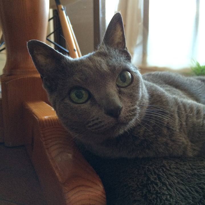 5a71aad6 8773 4000 b21c 5a3e95cd8f91