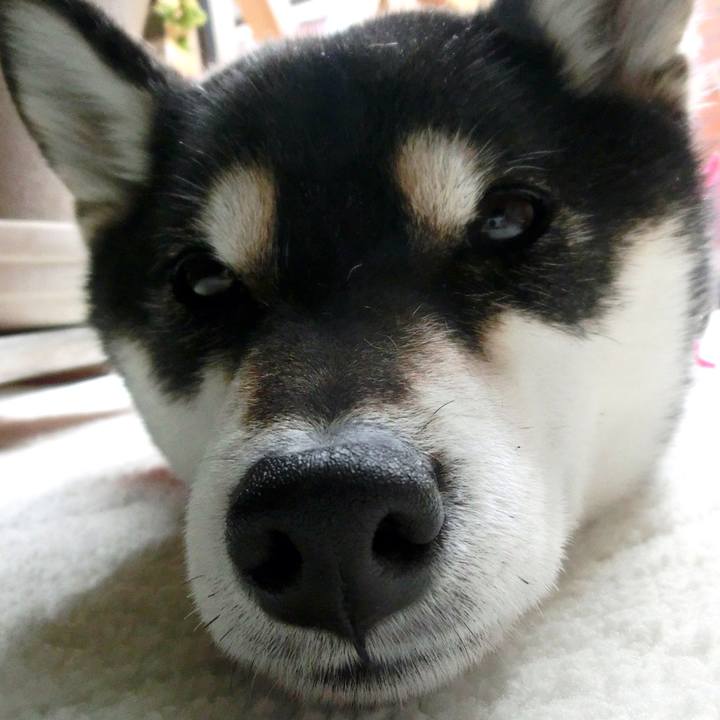 5a71b046 509b 4790 b9a1 77a780c06bad